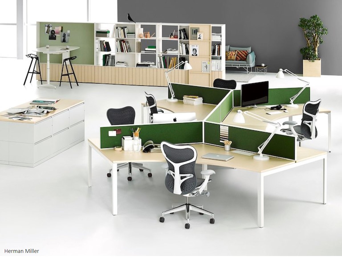 Living Office : L'humain au cœur de l'espace de travail.